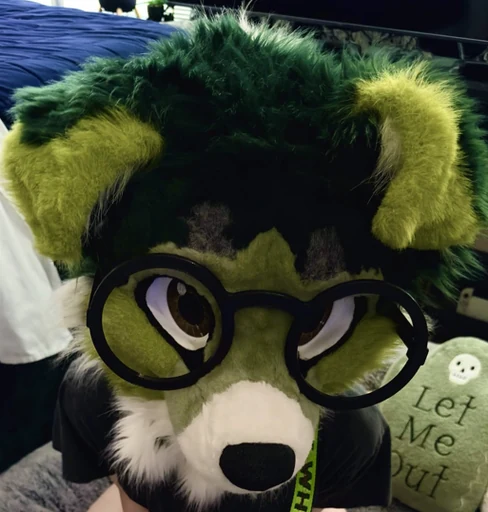 CainCollie, a green and black collie with round glasses